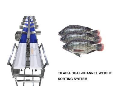 China Dual Channel Tilapia Weight Sorting Machine 6 Level for sale