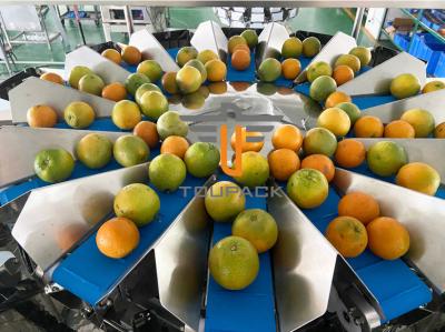 中国 5.0Lホッパー16ヘッドMCUオレンジ フルーツのMultiheadの計重機 販売のため