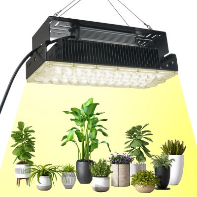 China 100w Indoor 5x5 Grow Light For Indoor Garden Succulents Plants SMD3030 for sale