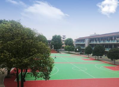 China Correcte Verminderings Modulair Basketbal dat Rekupereerbaar Populair Patroonontwerp vloert Te koop
