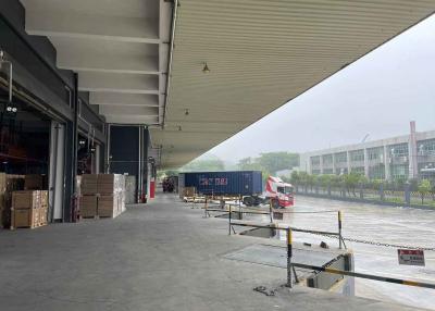 China International Logistics HongKong Bonded Warehouse Palletization LCL Shipment Services à venda