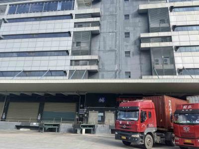 China Guangdong Government Frozen Storage Warehouse International Transfer Logistics Free Tax à venda