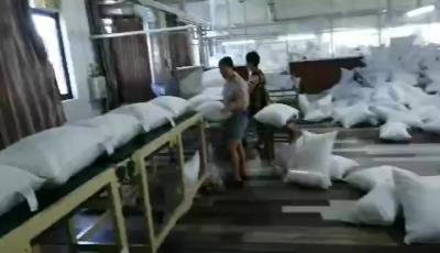 China Prensa de batir de la almohada JBJ-9, empaquetadora del amortiguador que arrolla, máquina auto del paquete para la almohada del látex, almohada del cuerpo en venta