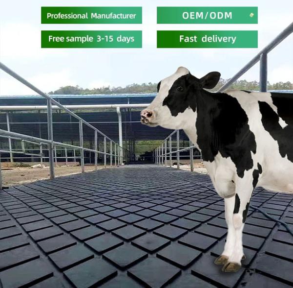 Quality Anti Fatigue Horse Rubber Stall Mats For Dairy Cow Walking Holding Milking Areas for sale