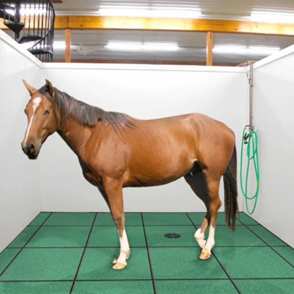 Quality Rubber Horse Stable Mats Heavy Duty 500 X 500 X 30mm Equine Hammer Top Strong for sale