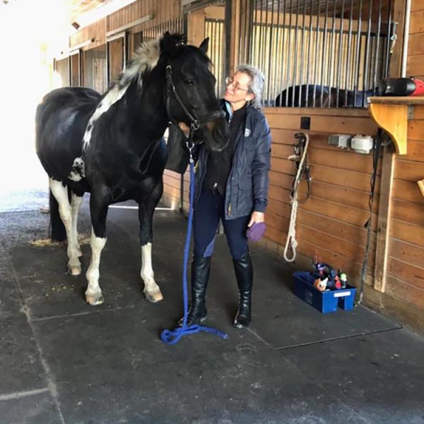 Quality Interlocking Rubber Horse Stable Mats Floor Tiles 90cm X 90cm X 14mm And Edge for sale