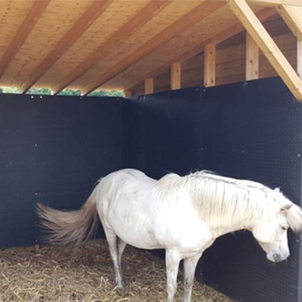 Quality Duplex Mats Stable Wall Mats Horse Stall Wall Padding 18mm Thickness for sale