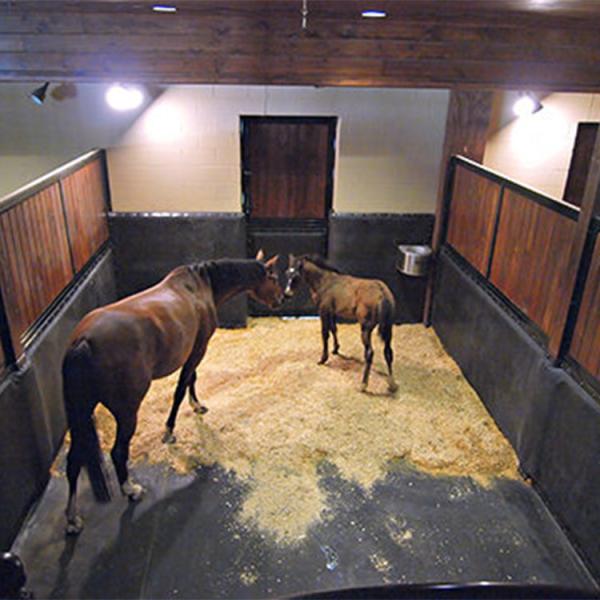 Quality Duplex Mats Stable Wall Mats Horse Stall Wall Padding 18mm Thickness for sale