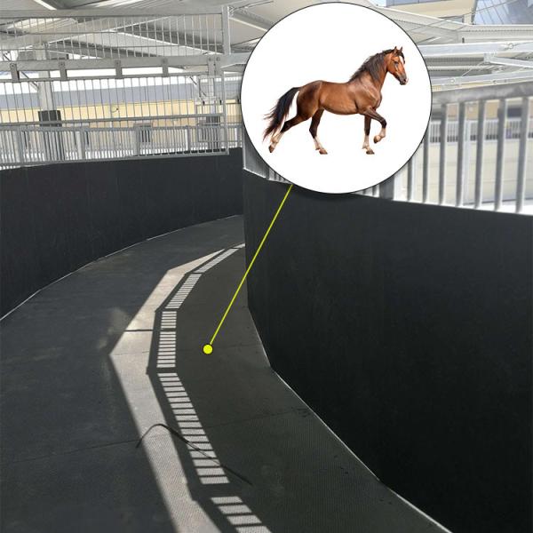 Quality 1205*723*24mm Horse Walker Rubber Mats For Horse running Machine Horse Exercise for sale