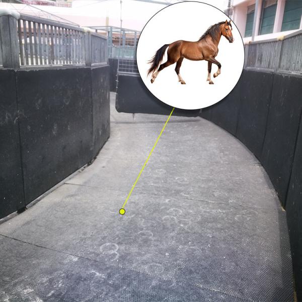 Quality 1205*723*24mm Horse Walker Rubber Mats For Horse running Machine Horse Exercise for sale