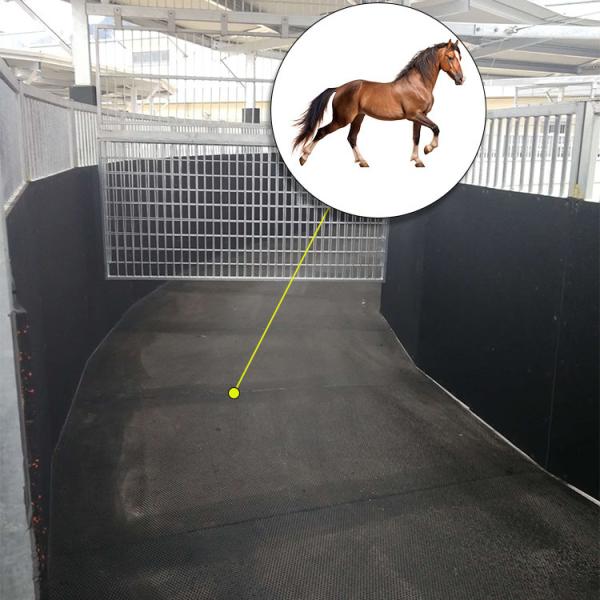 Quality 1205*723*24mm Horse Walker Rubber Mats For Horse running Machine Horse Exercise for sale