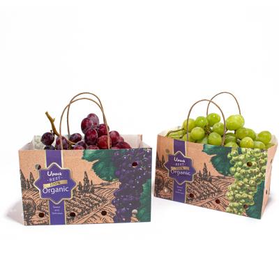 China Kraft Paper Bags For Fruits And Vegetables With Paper Twist Rope Handle for sale