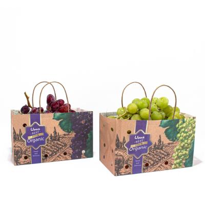 China UPACK Fruit Vegetable Paper Bag With Holes 8 Color Flexo Printing for sale