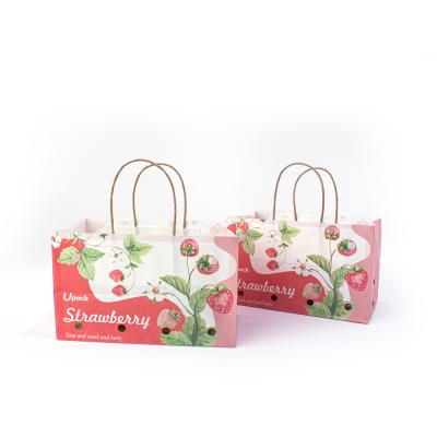 China Wet Strength Paper Handle Bags , Compostable Paper Bag For Fruits With Air Hole for sale
