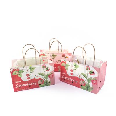 China OEM Printing Fruit Paper Bags Sustainable For Table Grapes Vegetable for sale