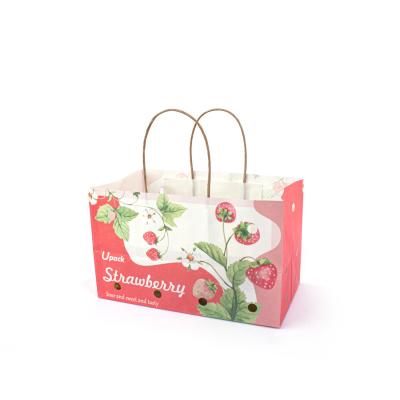 China Handle Kraft Fruit Paper Bags Compostable For Fruit Packaging Takeaway for sale