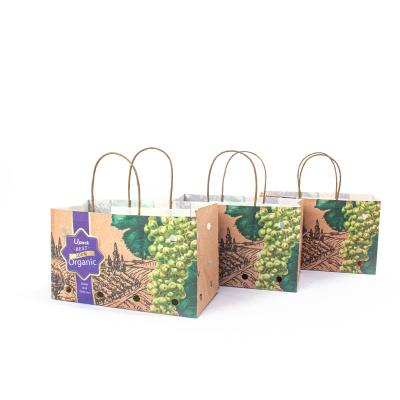 China Greaseproof Kraft Small Paper Bags For Storing Vegetables FSC FDA Certified for sale