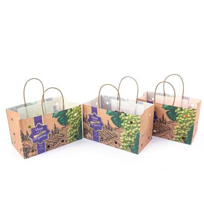 Китай OEM Printing Fruit Paper Bags Wet Strength Kraft Paper Uncoated Lining продается