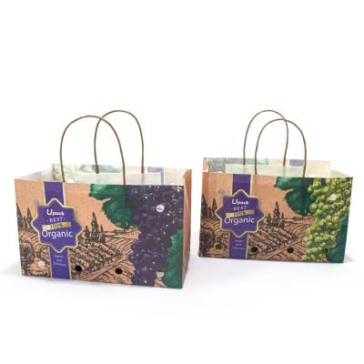 China Compostable Small Kraft Paper Bags , Ripen Fruit Paper Bag For Restaurant Grocery for sale