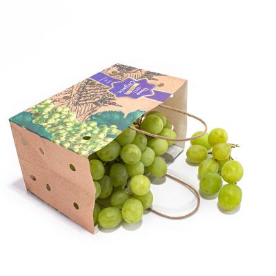 China Customizable Sustainable Fruit Packing Paper Bags For Fruits And Vegetables en venta