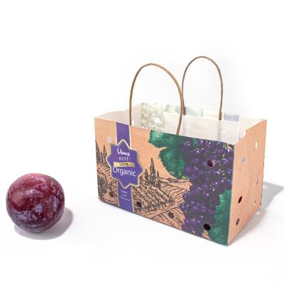 中国 ロゴはフルーツのためにクラフトの食糧紙袋を、ペーパーねじれのハンドル袋に入れる印刷した 販売のため