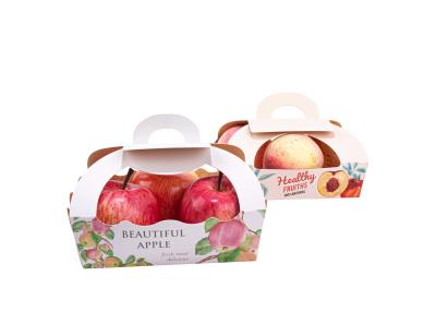 China Take Out Fruit Paper Box , Vegetable Cardboard Boxes With Handle for sale