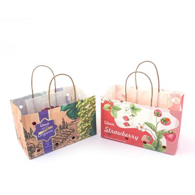 China Handle Type Paper Twist Rope Fruit Paper Bags with Wet Strength Kraft Paper en venta