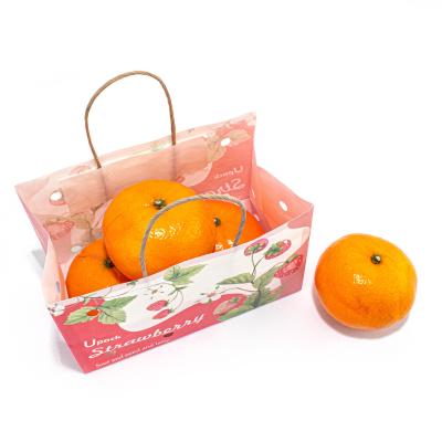 Cina Customizable Options for the Environmentally Friendly Fruit Shopping Paper Bag in vendita