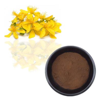 China Hypericum Perforatum Extract 0.3% Hypericin Powder St Johns Wort Extract for sale