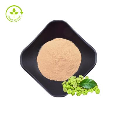 China Green Coffee Bean Extract Powder Natural Plant Extracts Chlorogenic Acids 50% for sale