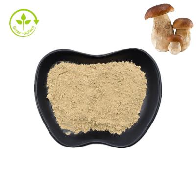 China Natural Penny Bun Porcini Mushroom Extract Pure Boletus Powder  99% for sale