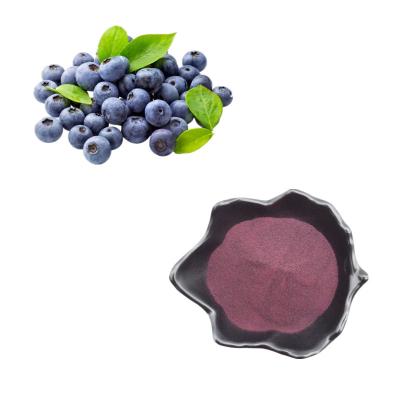 China Pure Natural Fruit Powder Blueberry Powder Extract Anthocyanin Bilberry Extract Powder for sale