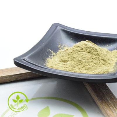 China Bacopa Monnieri Extract Powder 20% Bacopasides For Bacopa Monnieri Capsules And Tablets With Best Price for sale