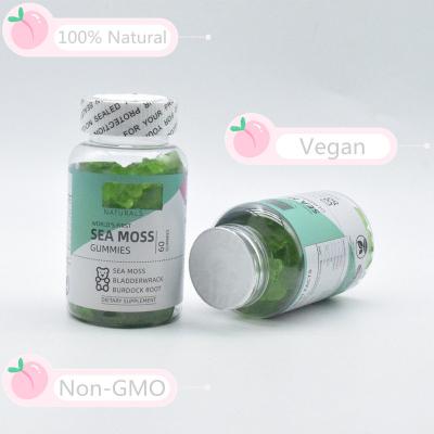 China Thyroid Organic Sea Moss Gummies For Immune System Vegan Sea Moss Gummies for sale