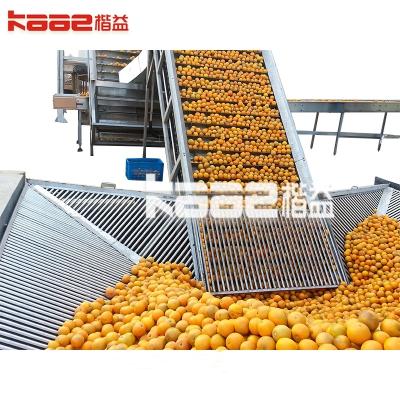 China NFC Orange Juice Citrus Juice Extraction Equipment Automatic Juice Squeezer SUS304 for sale