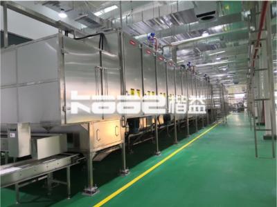 China Vegetable dryer/Fruit dryer/Dehydrator/Fruit and vegetable drying processing line/Drier/food conveyor drying machine for sale