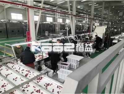 China Secador/secador de convetor de cintura desidratada de aço inoxidável industrial para alimentos para SAP/borracha sintética/fibra/nozes e sementes à venda