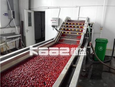China Industrial Dates Processing Machinery Dates Drying Machine 20t/Hr for sale