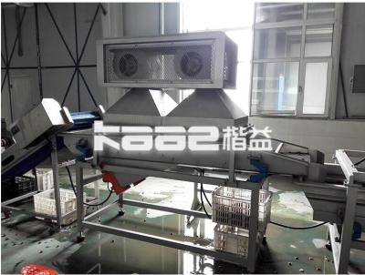 China Turnkey Dates Processing Machinery Palm Dates Sorting Drying Washing Dates Sorting Machine for sale