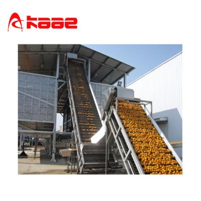 China Proyecto llave en mano Línea de procesamiento de jugo NFC de 415V Máquina de prensa de jugo industrial naranja en venta