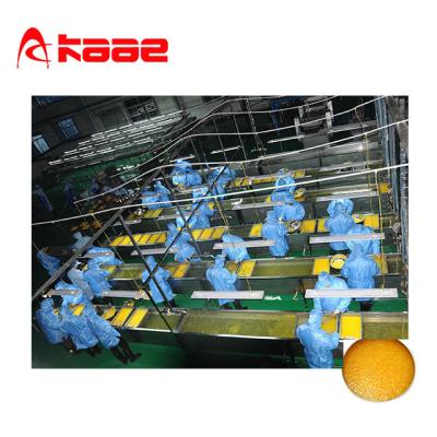 China 0.5 - 60 t/h Sacos de naranja y limón Línea de procesamiento de jugo NFC Prensa de jugo industrial en venta