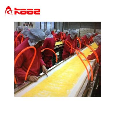 Chine Citrus Orange Sacs NFC Juice Processing Line Machine à extraire le jus de citron à vendre