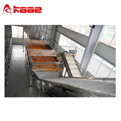 Китай 1 - 120 т/ч Проект под ключ Автоматическая машина для сока апельсинов Промышленное производство сока апельсинов продается