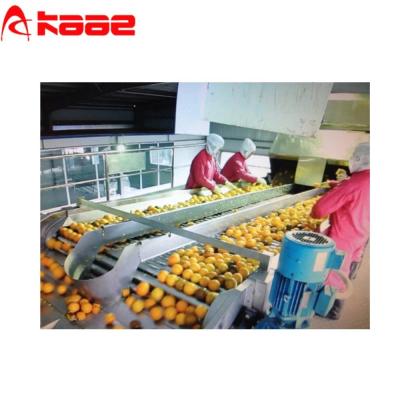 China 750W Automatische Fruitsorting Machine 304 Roller Lift Transportation Machine Zware transportrollers Te koop