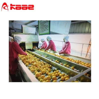 China Ss304 Fruit Sorting Conveyor Roller Fruit Conveyor Sorter 220V 380V Te koop