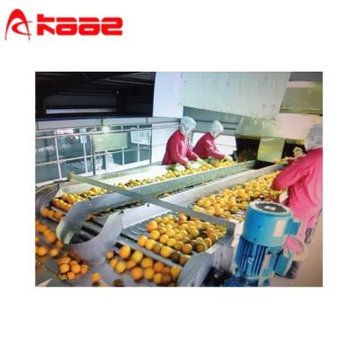 Cina Convogliatore a rulli di selezione Macchina di classificazione automatica delle mele Macchina di selezione a rulli in vendita