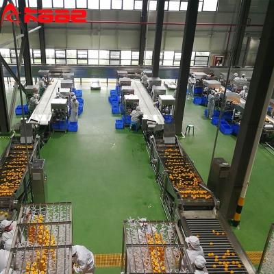 China 10t/h Linha de produção de caqui seco Máquina de descascar caqui aquecida Sala de secagem de caqui à venda