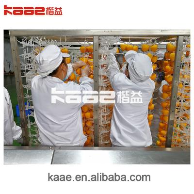 China Máquina Inteligente de Secagem de Persimões Linha de Produção de Frutas Secas de Persimões à venda