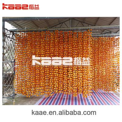 China Linha de processamento industrial automática de caqui seco Data Linha de produção de frutas secas à venda