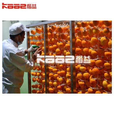 China KASQP Máquina de peeling de caqui Peeling Compacta estrutura Pequeno lugar Máquina de secagem de caqui à venda